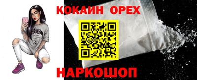 гашик Тара