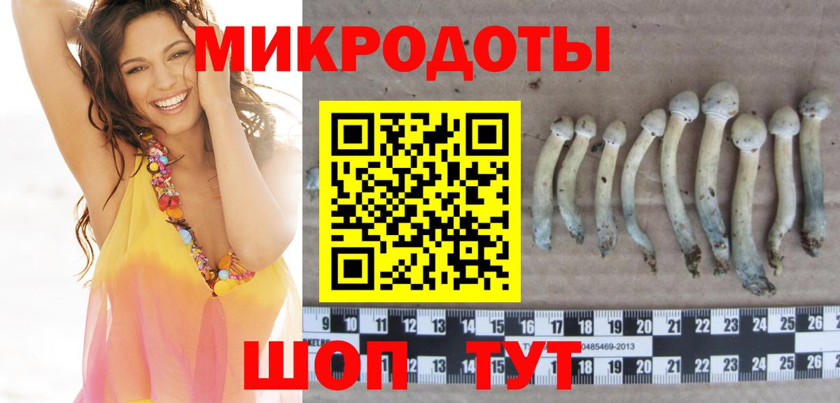 Псилоцибиновые грибы мухоморы  где купить наркоту  Вход с VPN  Нововоронеж  Псилоцибиновые грибы MAGIC MUSHROOMS 